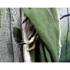 Haunted Hill Farm HHWITCH-7FLSA - 9